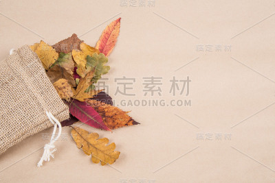 秋天的落叶