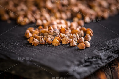 荞麦种子