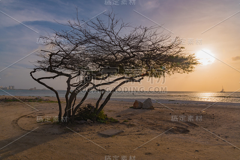 阿鲁巴加勒比岛的全景