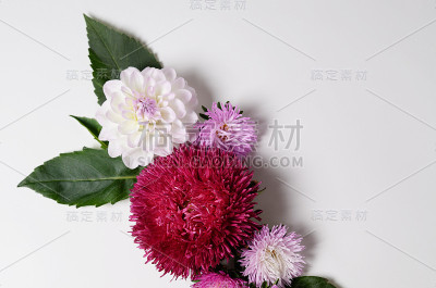 创意背景与菊花和大丽花。花边平铺概念