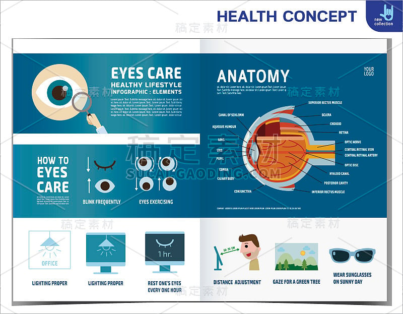 如何呵护眼睛。医疗保健的概念。信息图表元素。治疗。解剖学。矢量平面图标卡通设计插图页杂志模板。小册子
