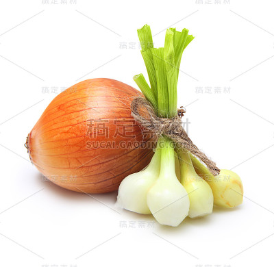 成熟的洋葱