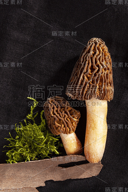 维帕波西米亚的细节镜头——食用美味的蘑菇。