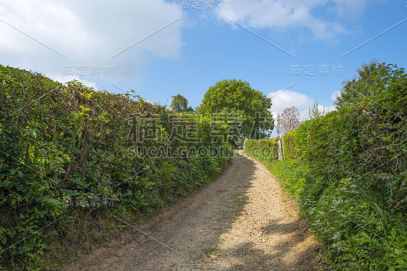 夏天有一条泥土路穿过乡间