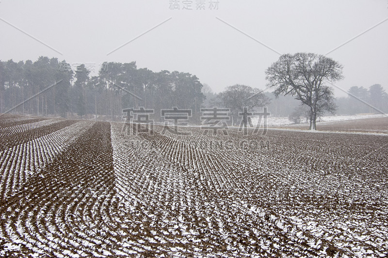 萨福克郡汤斯顿的雪地上耙过的田地