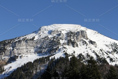 黄绿色的山