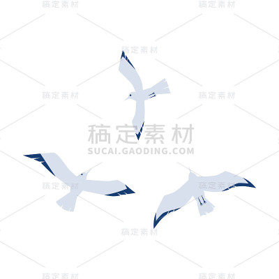 海鸥在一个平面卡通风格孤立在白色背景。