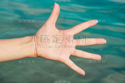 用手指表示数字的手