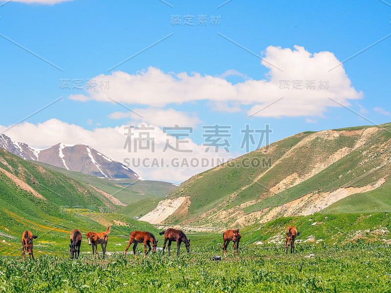 天山山脉，吉尔吉斯斯坦