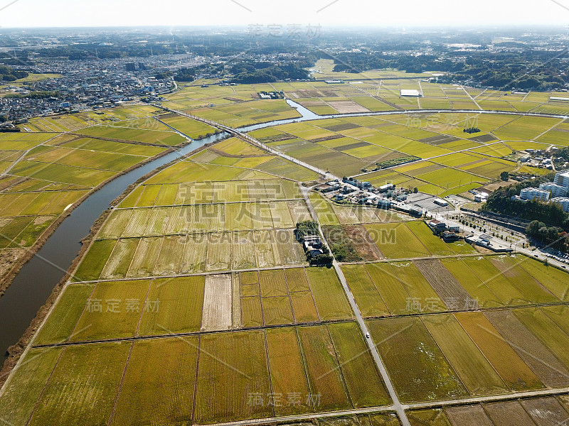 日本的乡村风光