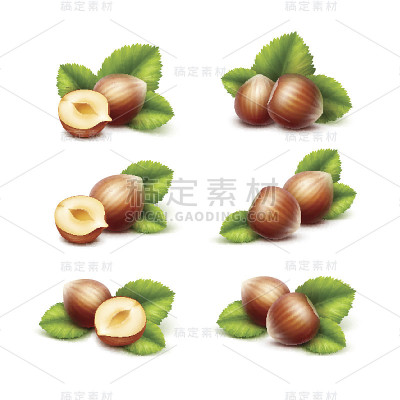 完整和半剥皮未剥皮现实的榛子与叶子分离