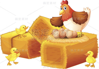 母鸡和她的蛋和小鸡