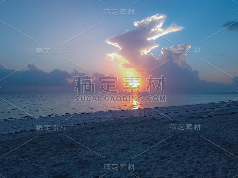 海羽轴