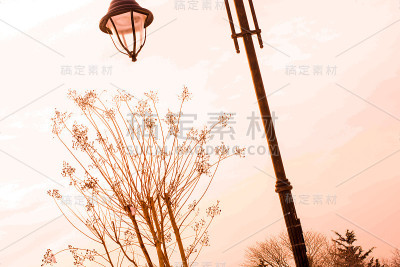 老式复古金属风格的电动街灯
