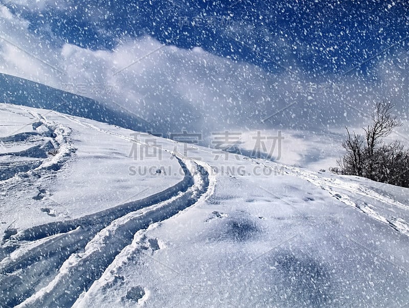 美丽的冬季景观与飘落的雪。