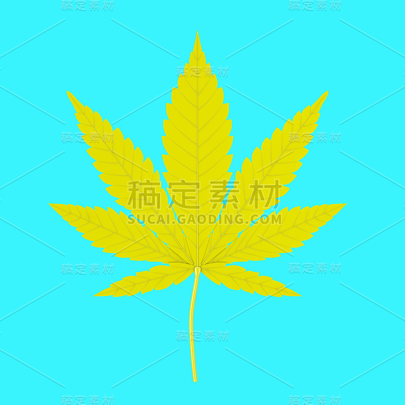 黄色医用大麻或大麻大麻叶在双色调风格。3d渲染