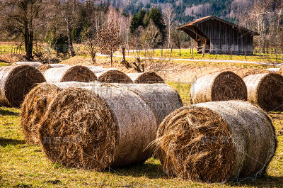 附近的景观benediktbeuern - Bavaria