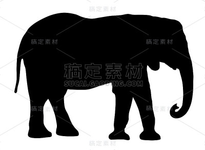 大象