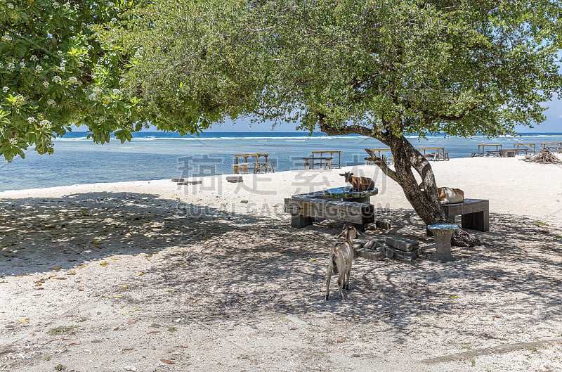 Gili Trawangan