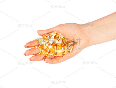 拿着贝壳的女人的手