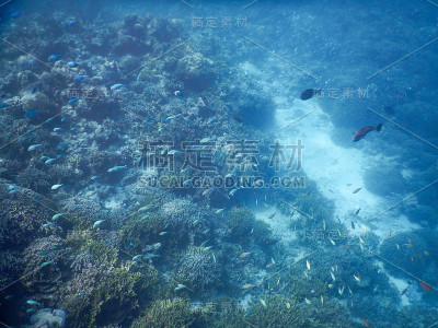 海的背景