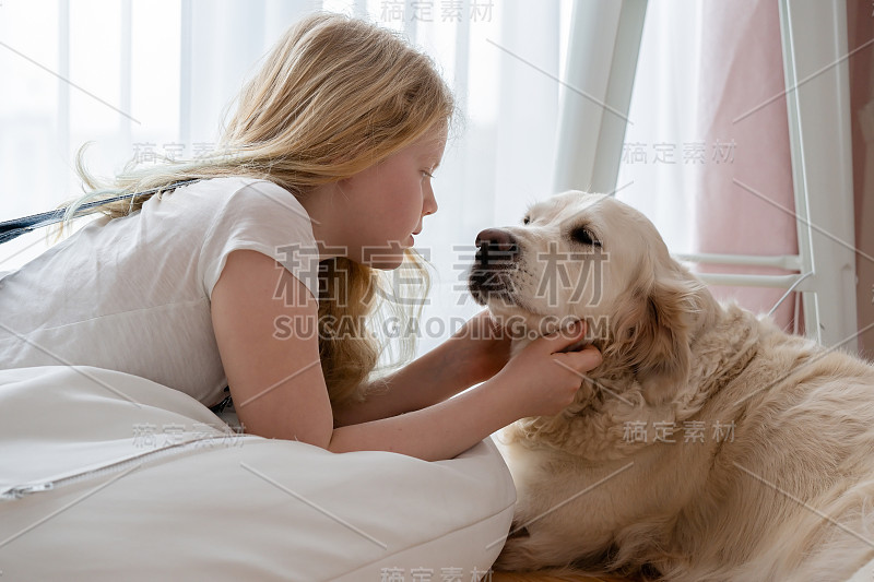 关心和爱护宠物。十几岁的女孩在家里与一只金毛猎犬大狗拥抱