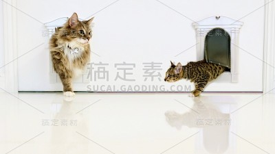 你好