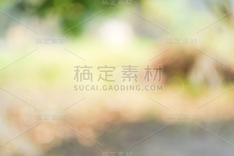 阳光明媚的抽象绿色自然背景，以散景光模糊公园、自然、花园、春夏季节