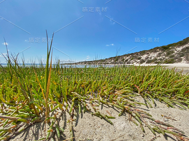 在Langebaan泻湖西岸国家公园的海滩，海岸上有岩石，海滩前有蓝色的水