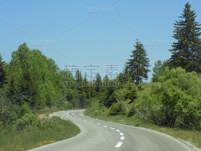 穿越森林的公路旅行