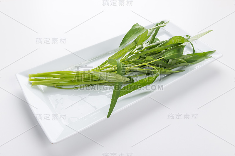 清水菠菜，白底牵牛花