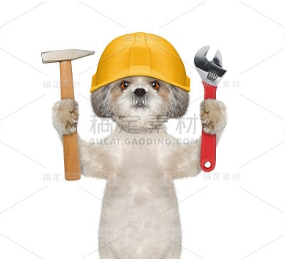 可爱的狗建设者拿着工具在它的爪子