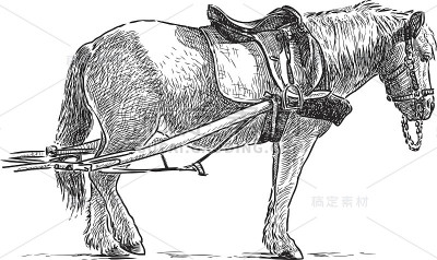 马在工作