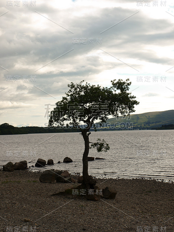 洛蒙德湖的树和岩石