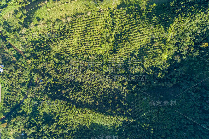 中美洲朦胧的玛雅山脉