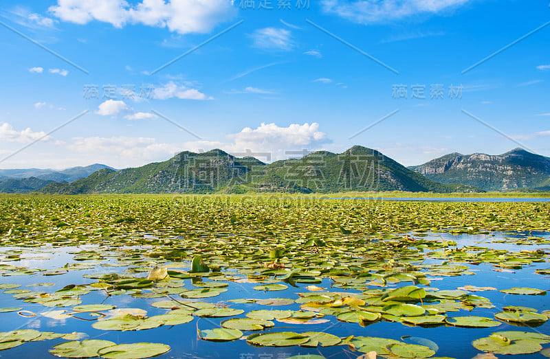 黑山斯卡达尔湖国家公园