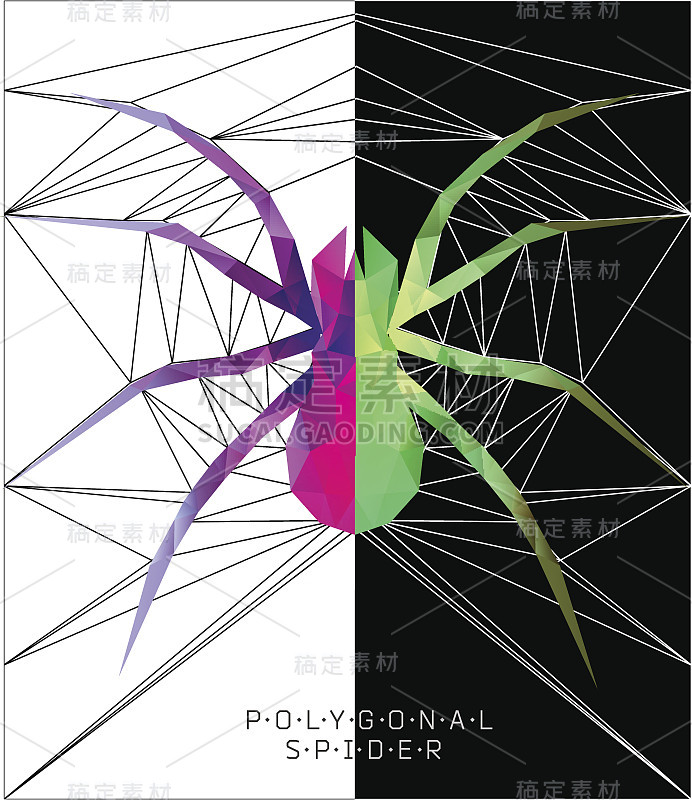 多边形蜘蛛。几何图解