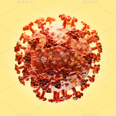 SARS-CoV-2或2019-ncov冠状病毒的概念