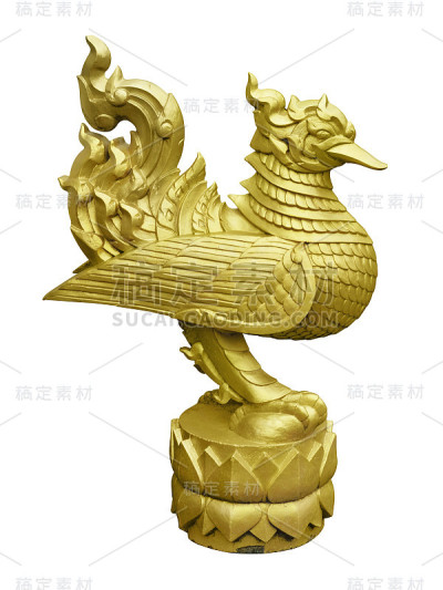 泰国金色的天鹅