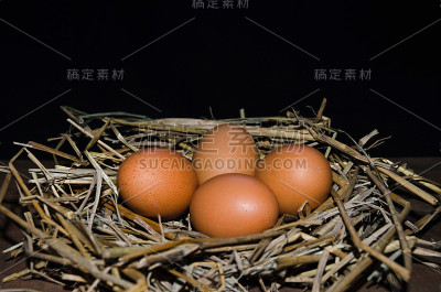 鸡蛋在稻草上