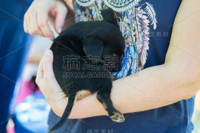 抱着可爱的小狗