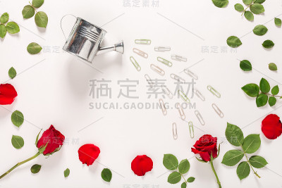 玫瑰花和喷壶