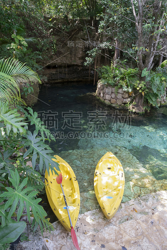 探索概念皮划艇在热带的场景