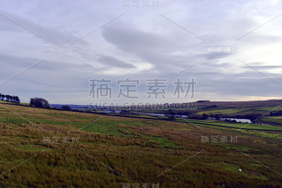 约克郡山谷的风景，绿色的田野上的山顶，干燥的石墙，树木映衬着阴沉的天空