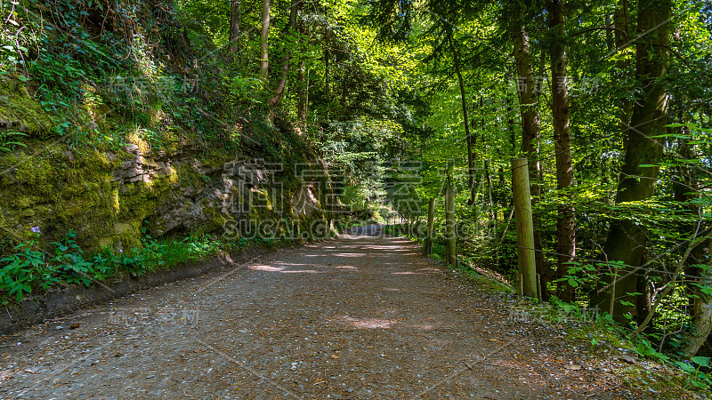 攀登布雷根茨的via ferrata