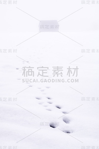 动物脚印喂养小屋在雪原在雾