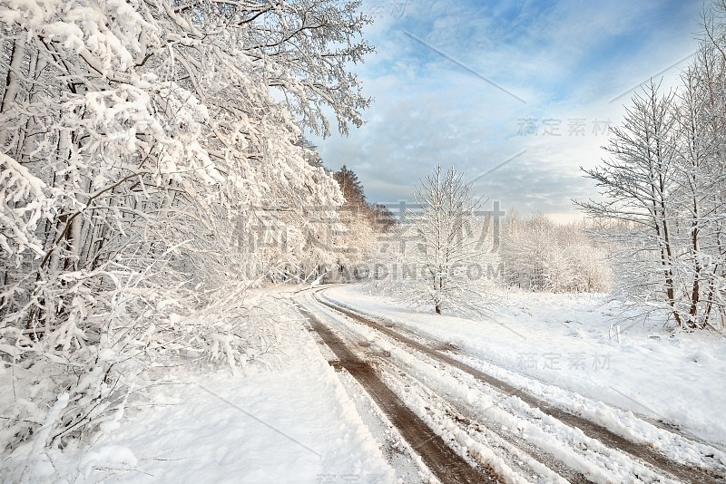 拉脱维亚的道路和白雪覆盖的树木