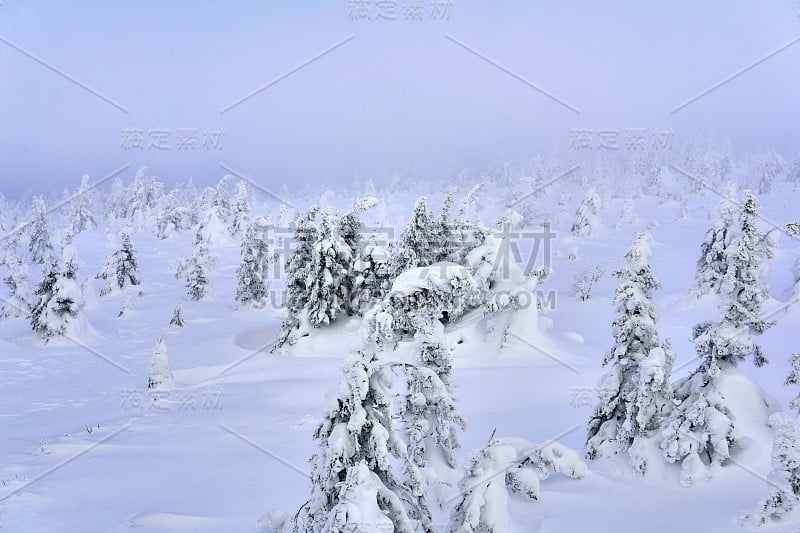 冰雪覆盖的冬季高原上弥漫着薄雾