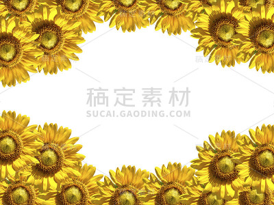 向日葵框架
