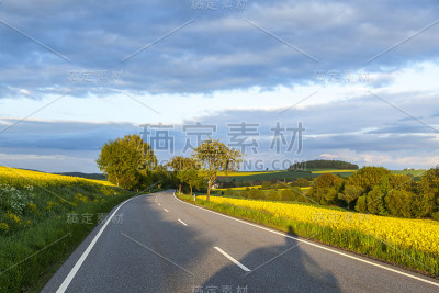 蓝天下的油菜地街道